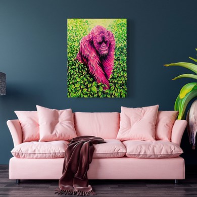 Click to view gallery CFA Oxley1