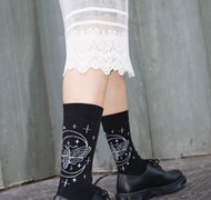 Click to view gallery DM Moth9