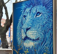 Click to view gallery CFA FD3