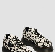 Click to view gallery B2