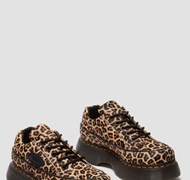 Click to view gallery B5