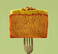 Click to view gallery PG4